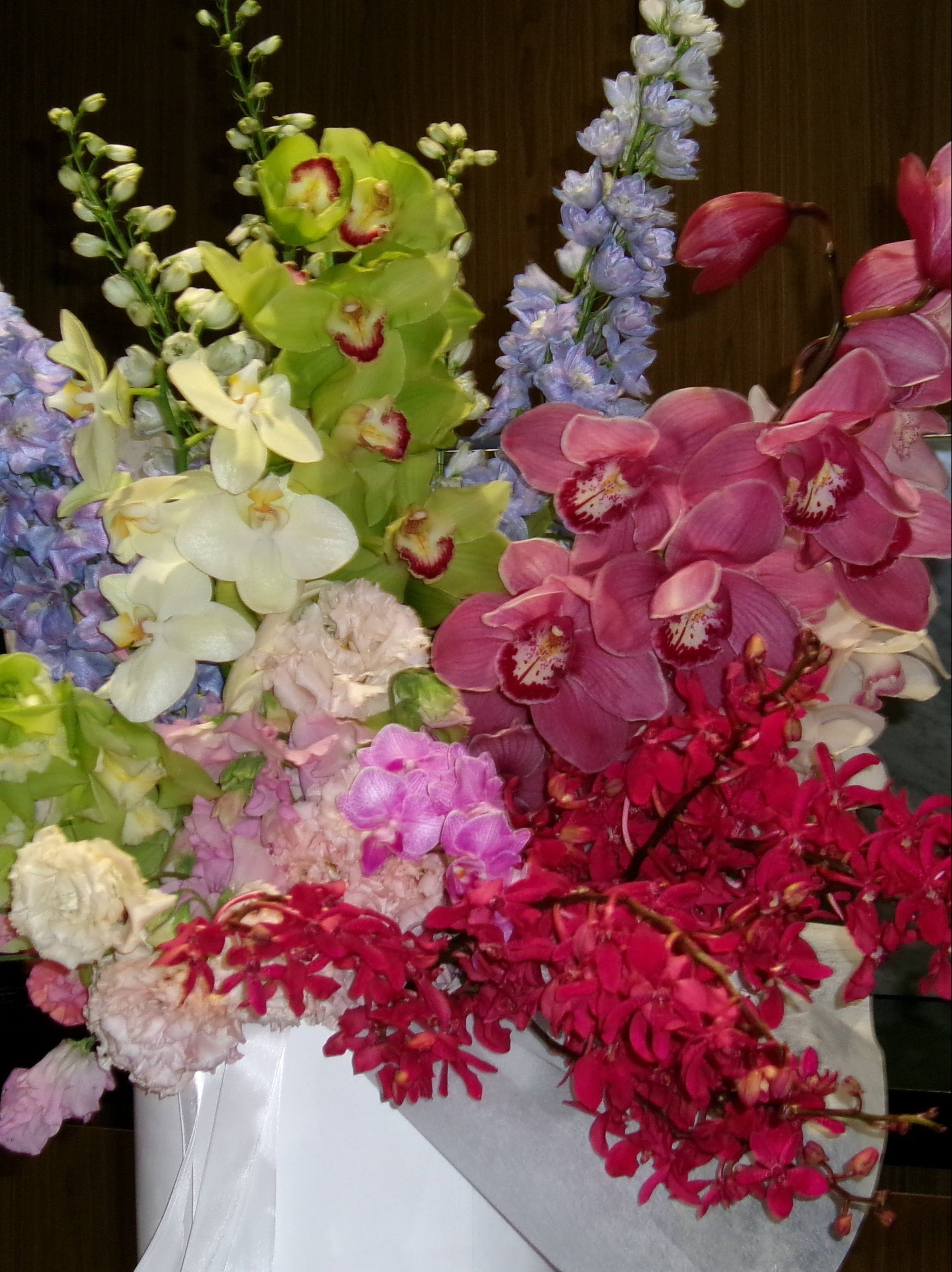 ORCHIDS X