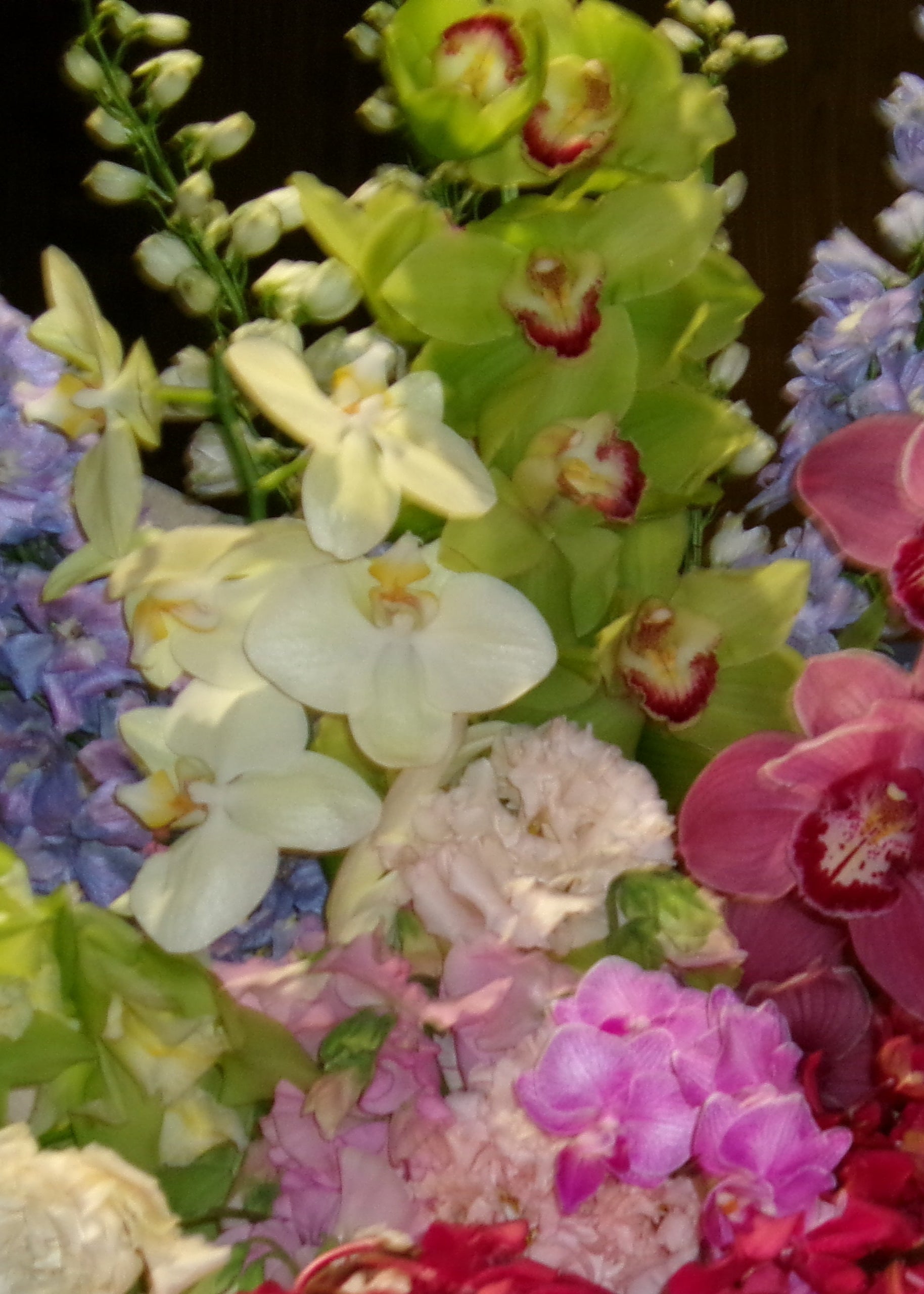 ORCHIDS X